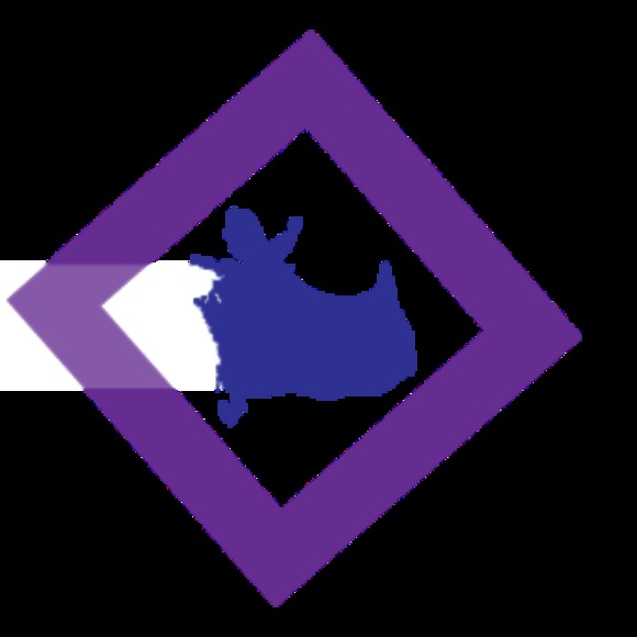betarhino